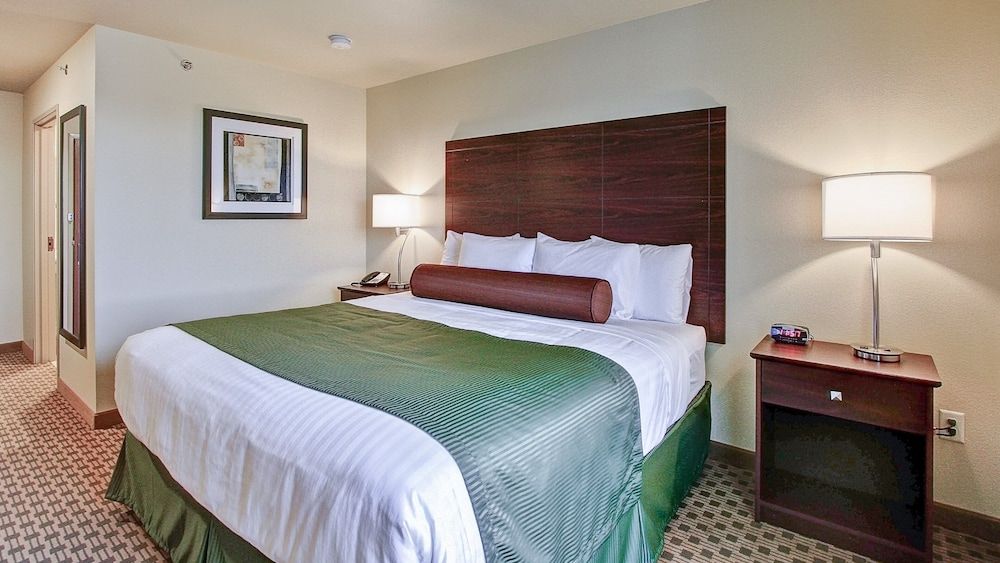 Cobblestone Hotel & Suites – Pulaski/Green Bay Room, 1 King Bed, Non Smoking 3