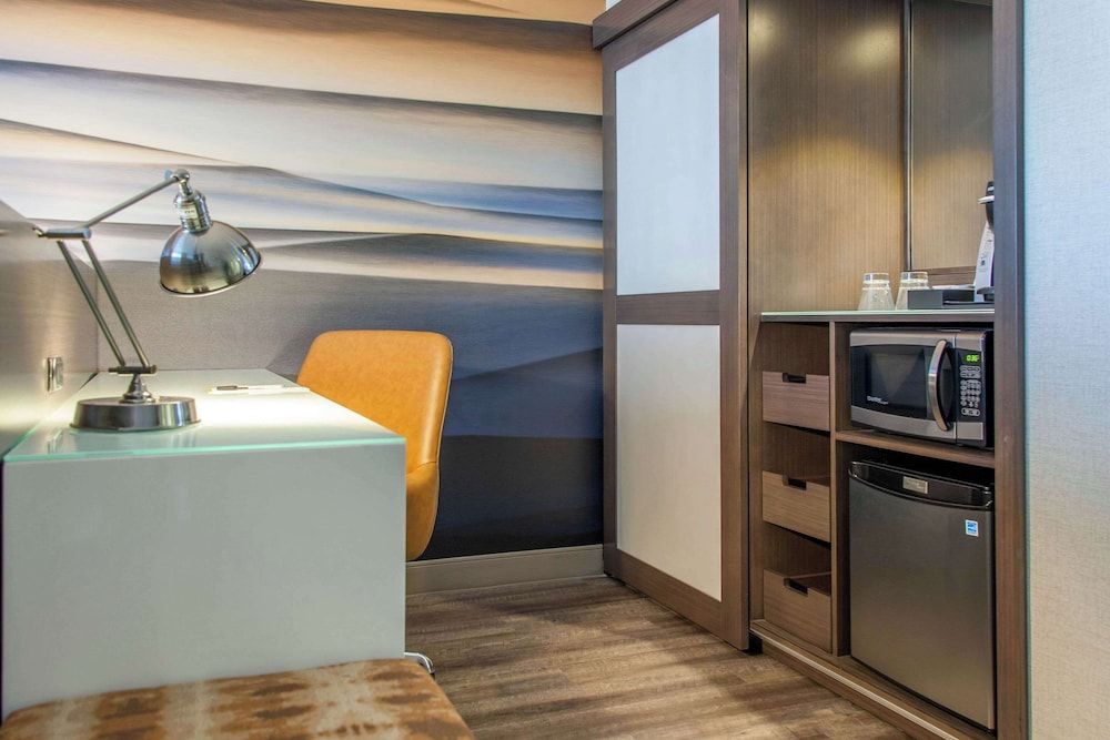 Hilton Garden Inn North Phoenix Scottsdale Room, 1 King Bed 8