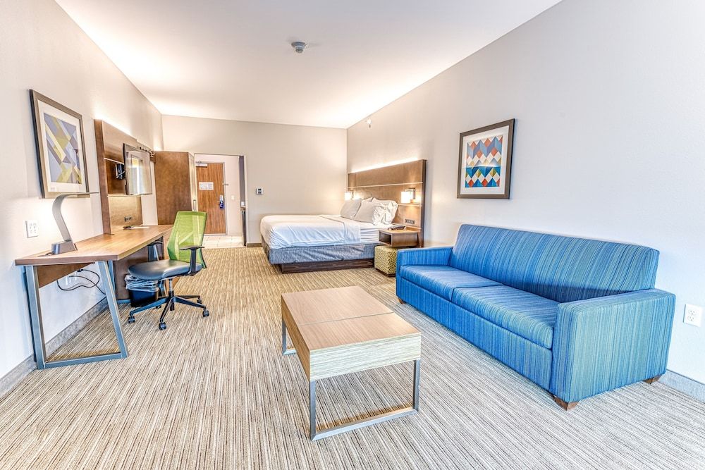 Suite, 1 King Bed with Sofa bed