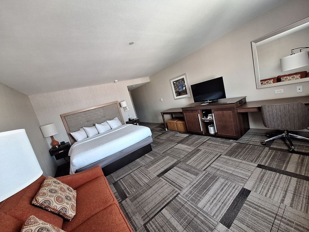 Room, 1 King Bed with Sofa bed, Non Smoking