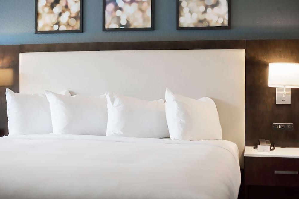 Room, 1 King Bed