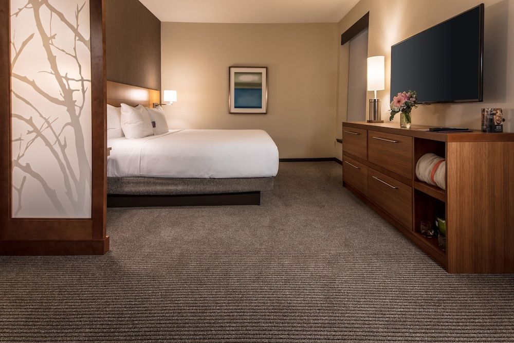 Room, 1 King Bed with Sofa bed