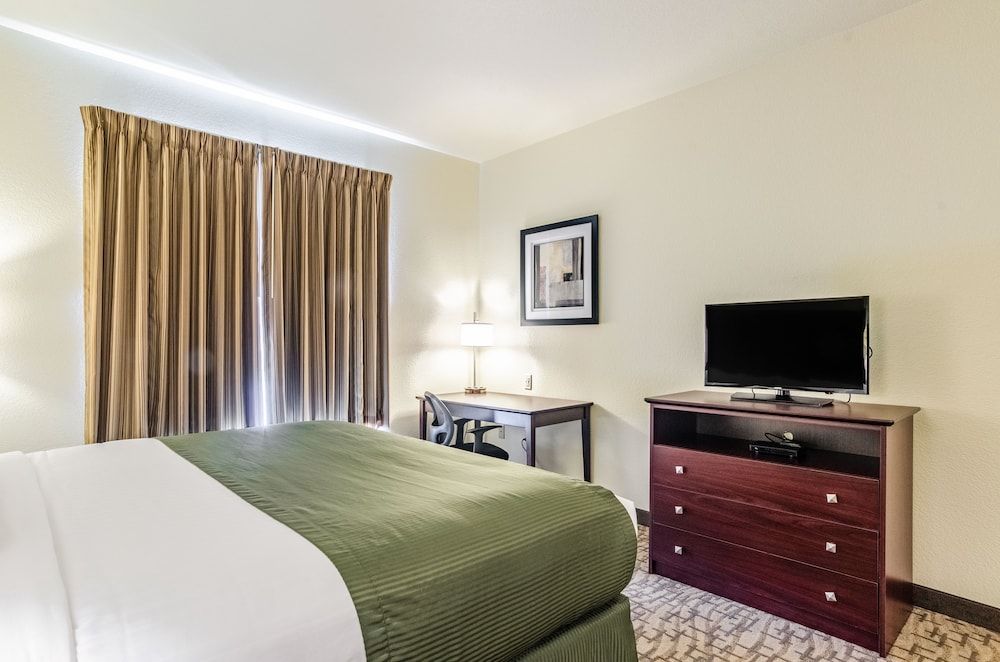 Room, 1 King Bed, Non Smoking