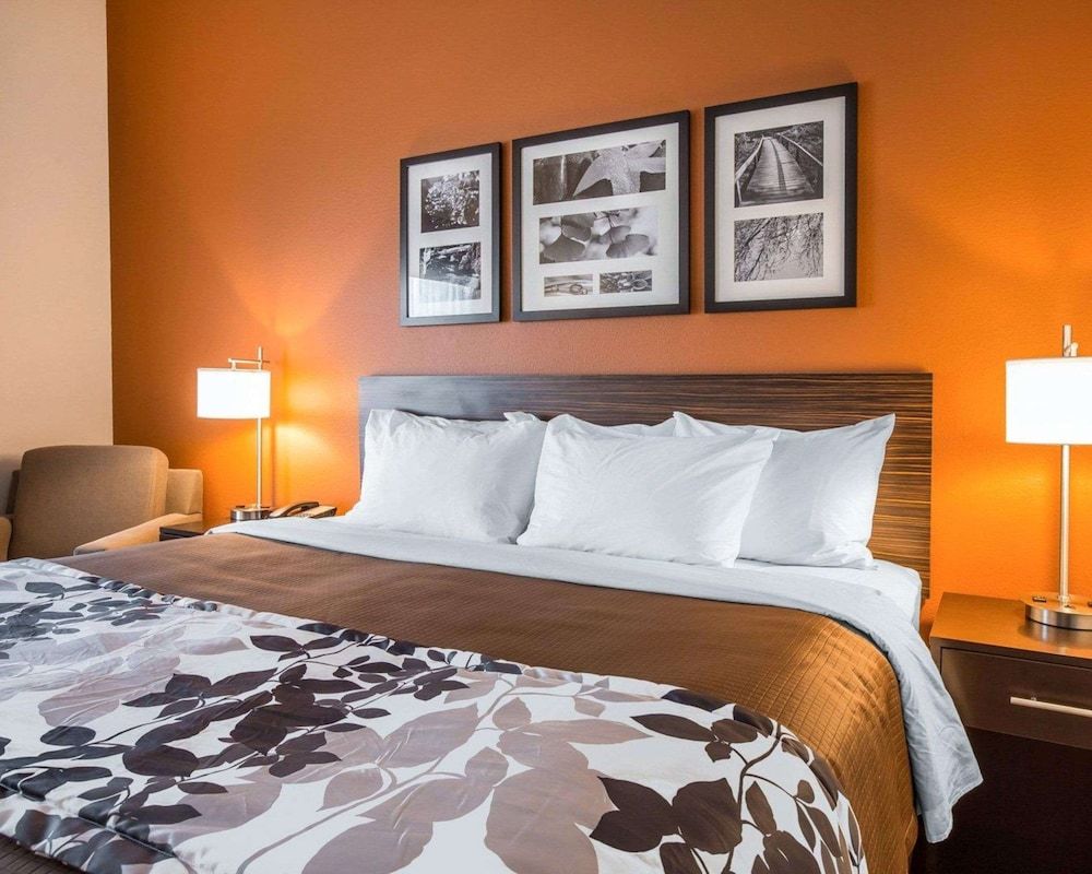 Standard Room, 1 King Bed, Non Smoking