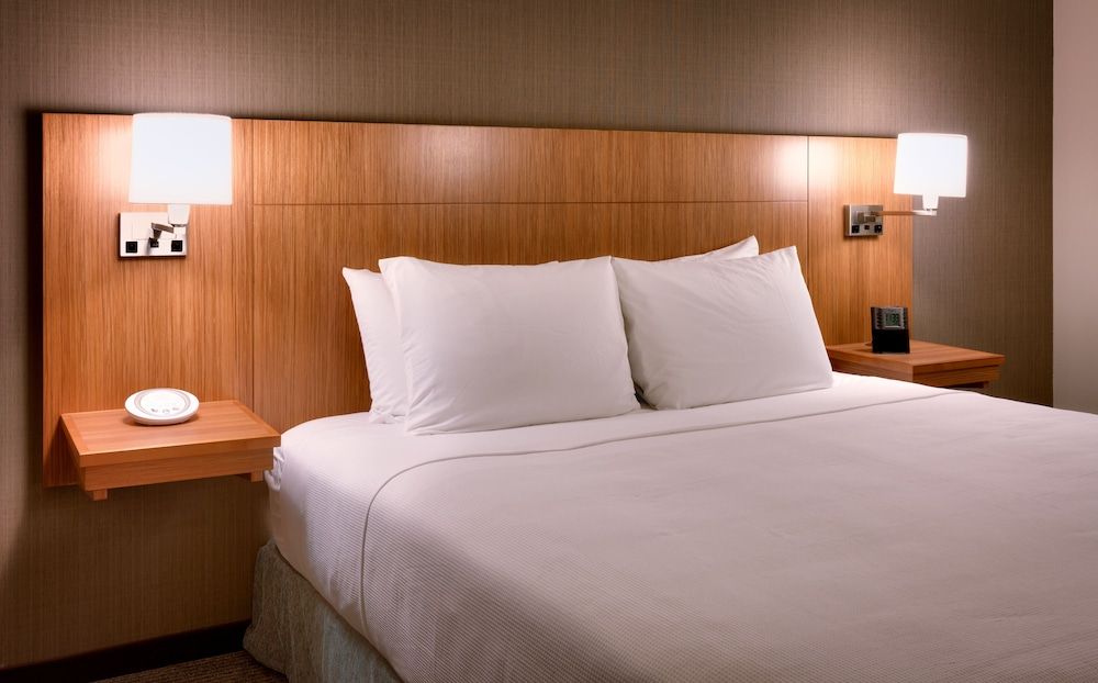 Room, 1 King Bed with Sofa bed