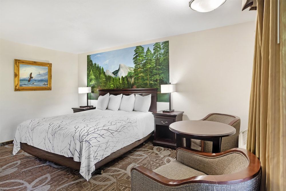 Best Western Plus Yosemite Gateway Inn Standard Room, 1 King Bed, Accessible, Non Smoking
