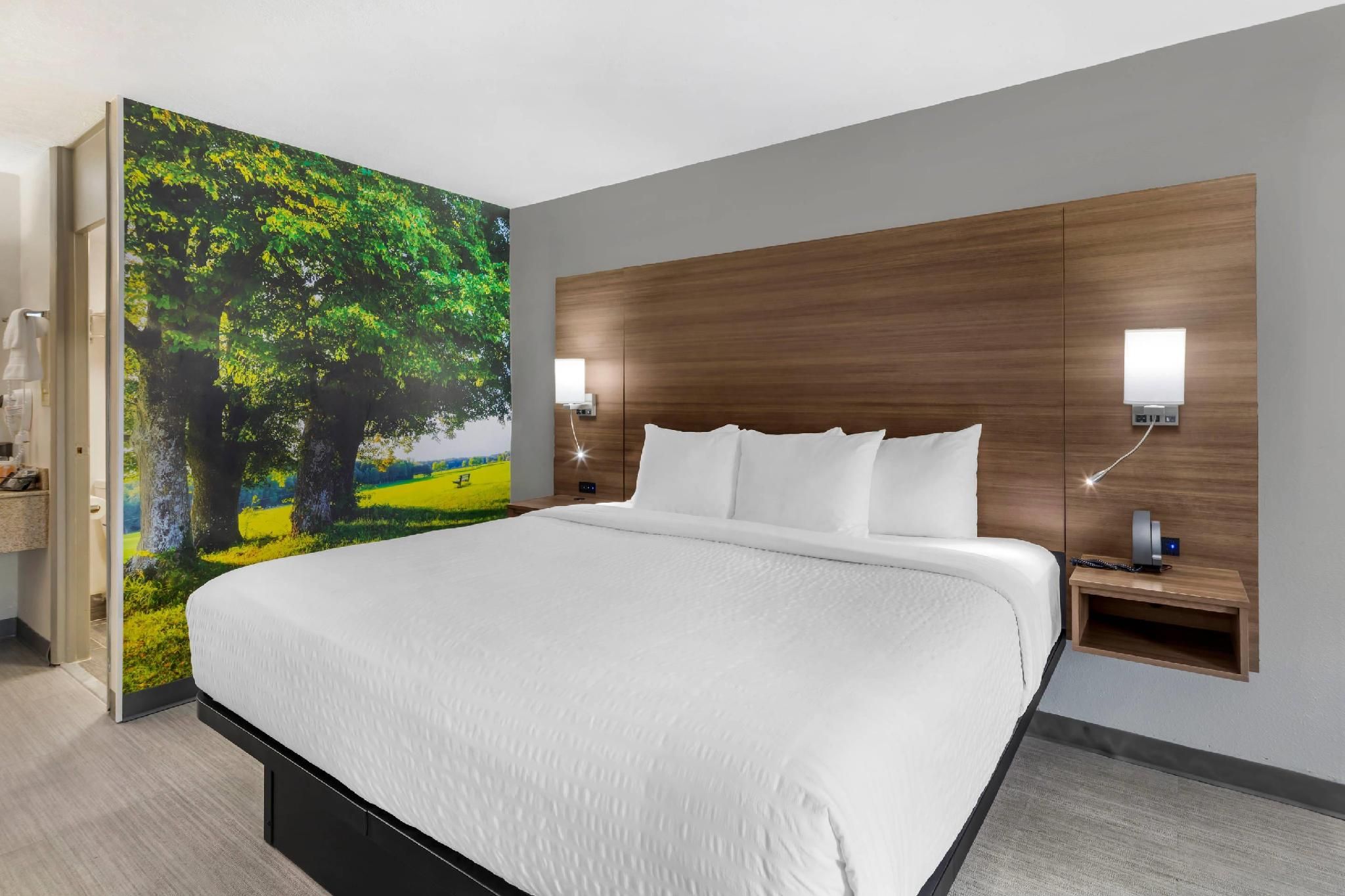 1 King Bed, Nonsmoking, Accessible