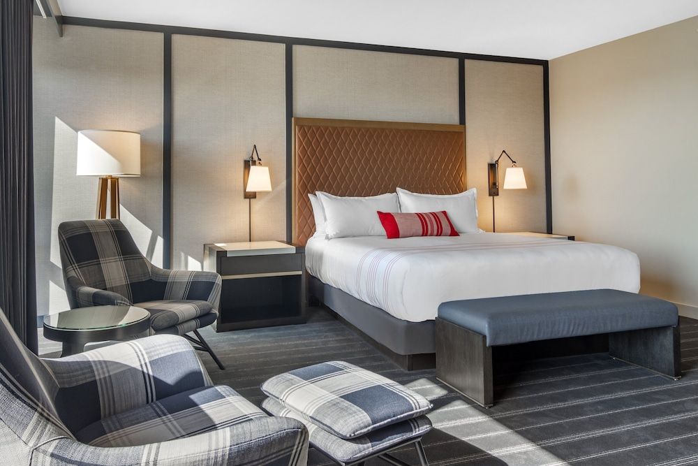 Suite, 1 King Bed