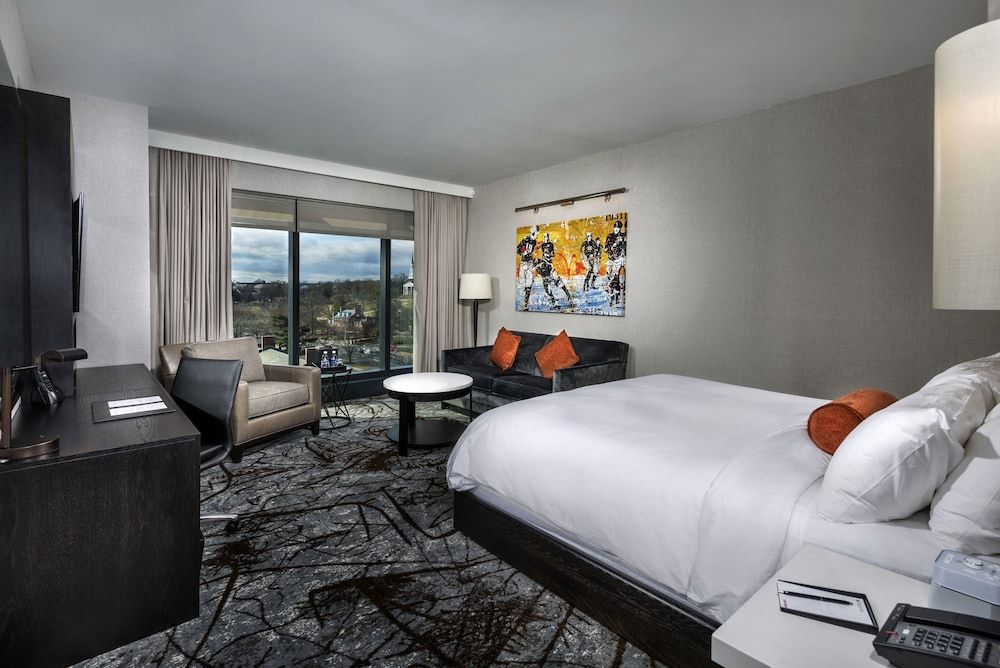 University View King Guestroom