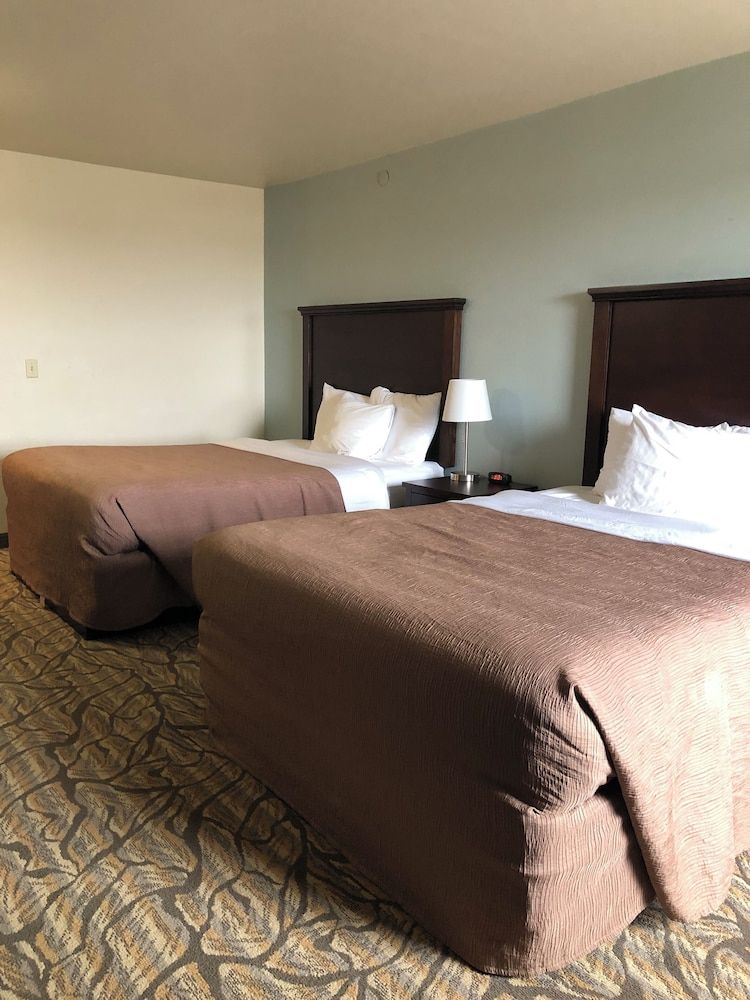 Aptel Studio Hotel Standard Studio, 2 Queen Beds 3