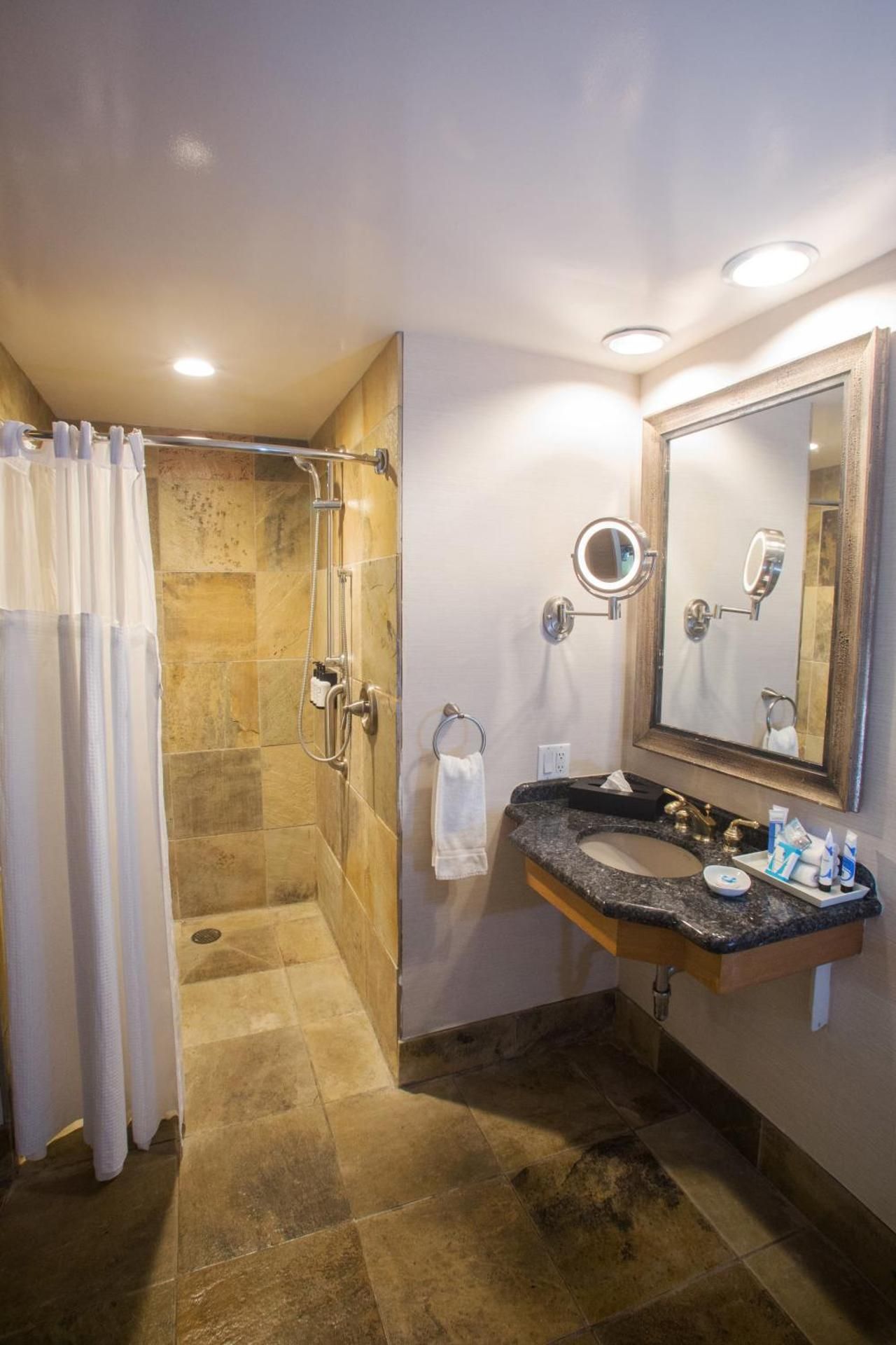 Accessible King with Roll In Shower Non-Smoking