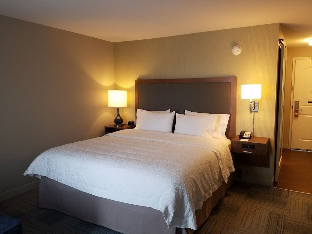 Room, 1 King Bed, Non Smoking, Refrigerator & Microwave