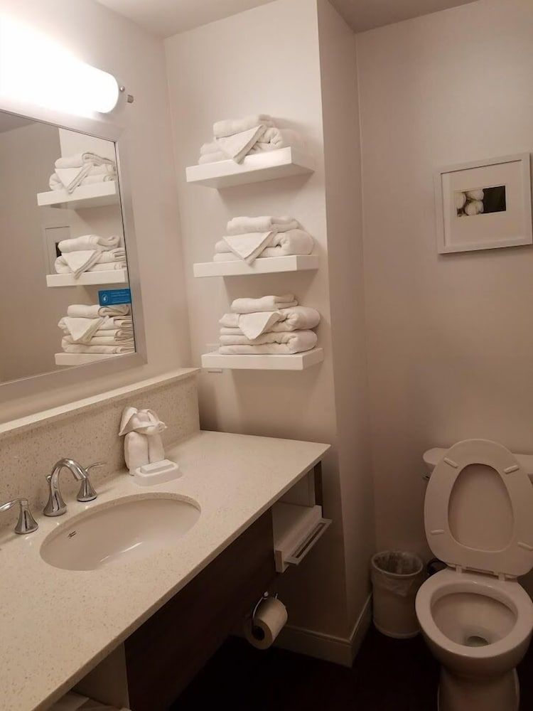 Room, 1 King Bed, Accessible (Mobility & Hearing, Roll-in Shower)