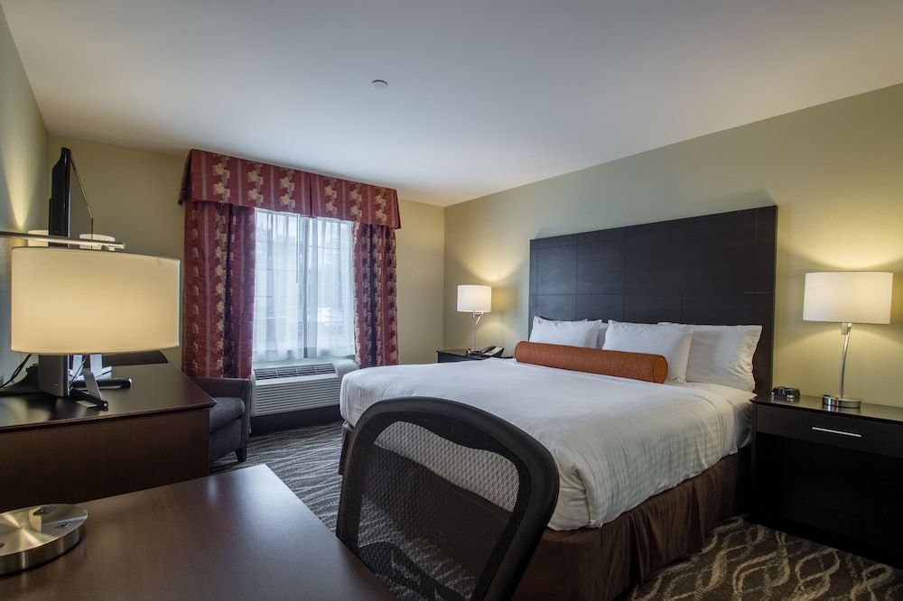 Studio Suite, 1 King Bed with Sofa bed, Non Smoking