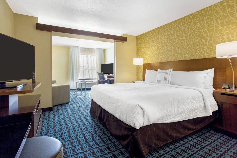 Suite, 1 King Bed with Sofa bed
