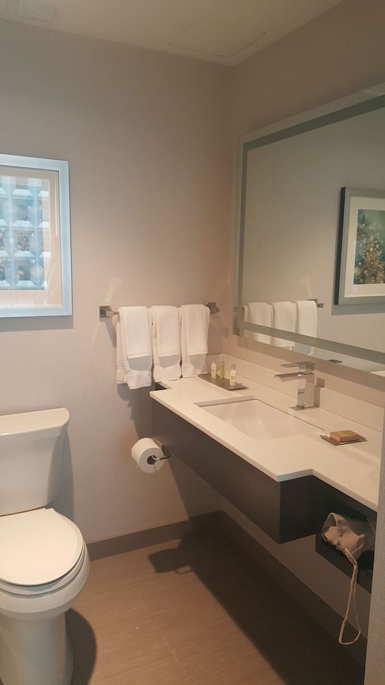 Hilton Garden Inn NYC Financial Center/Manhattan Downtown Room, 1 King Bed, City View 6