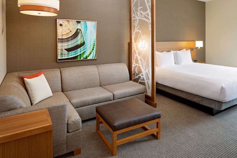 Room, 1 King Bed with Sofa bed, View
