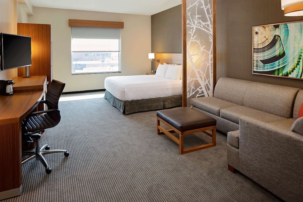 Room, 1 King Bed with Sofa bed