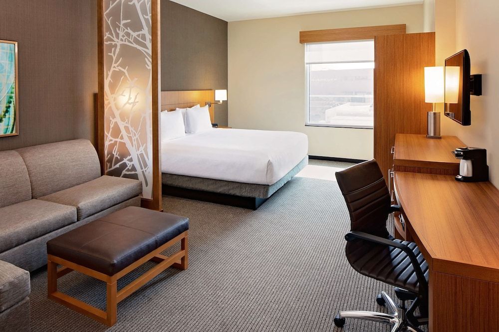 Room, 1 King Bed