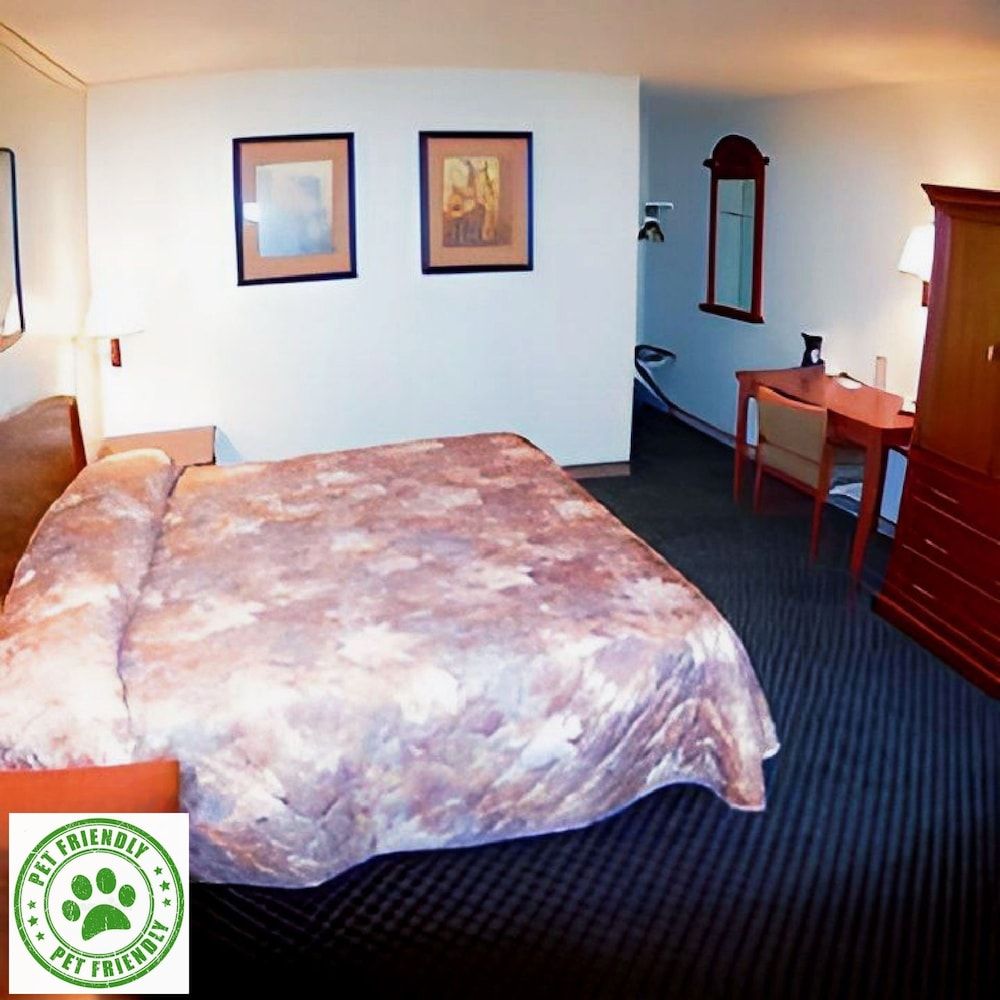 Room, 1 King Bed, Pet Friendly