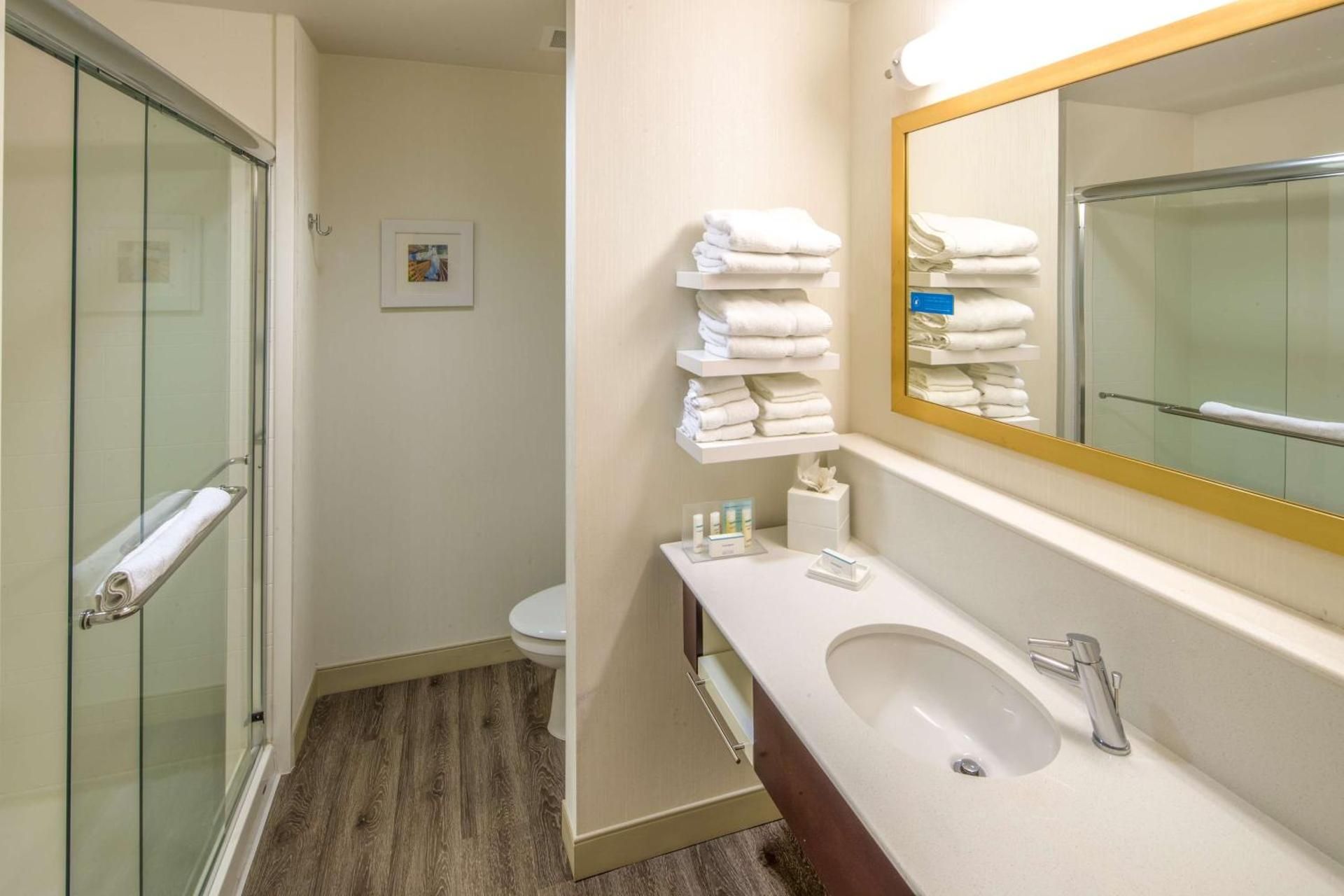 undefined Hampton Inn Houston Downtown 7