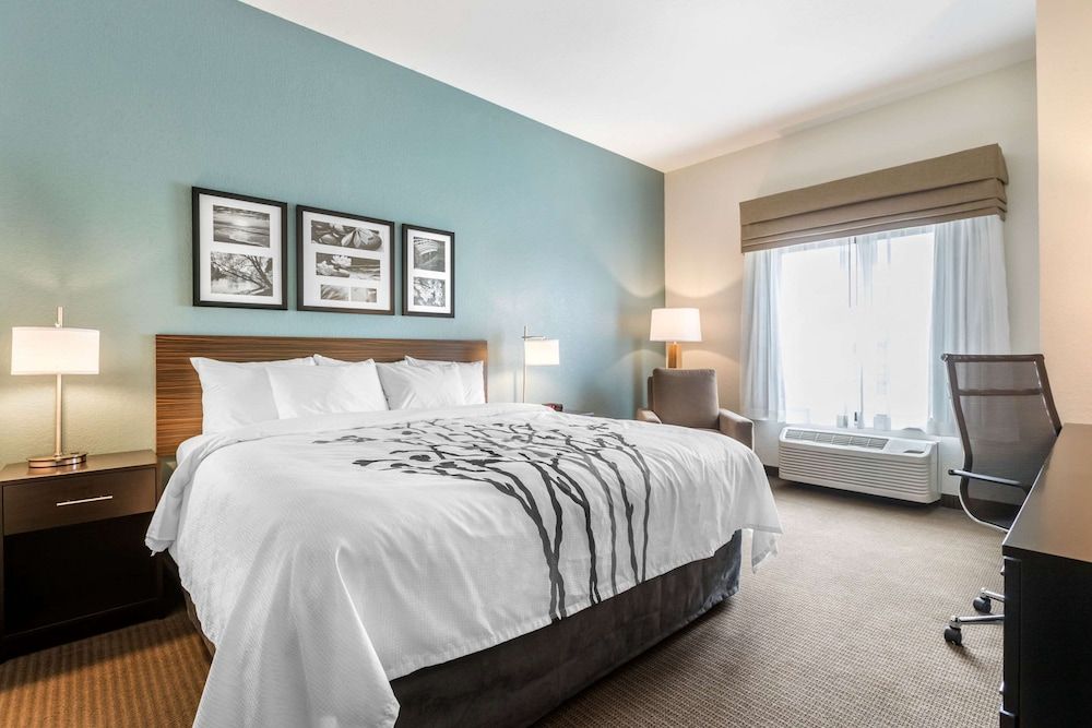 Room, 1 King Bed, Accessible, Non Smoking