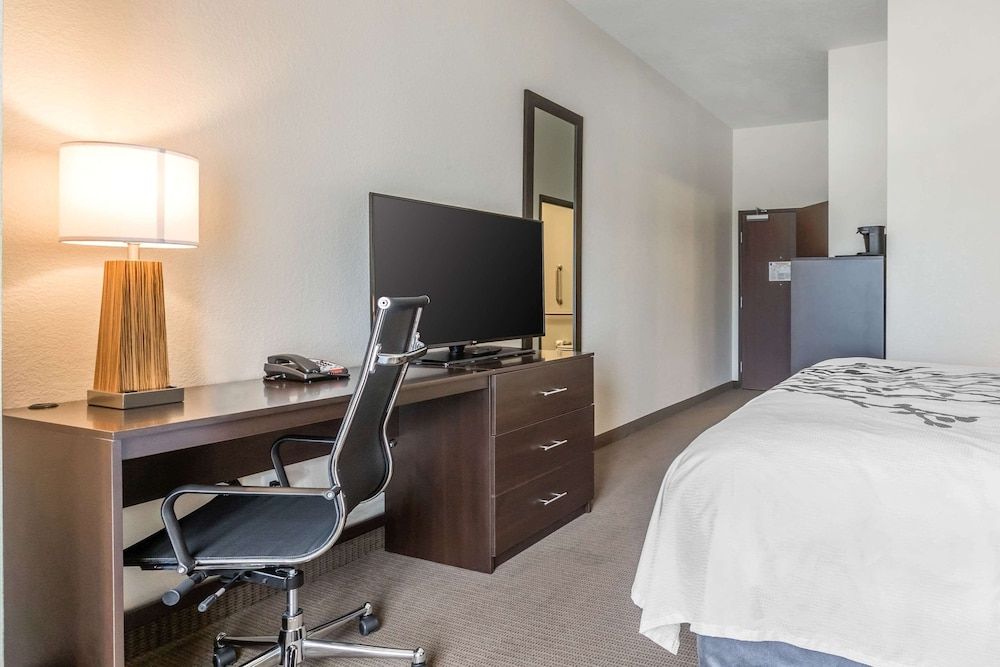 Room, 1 King Bed, Accessible, Non Smoking