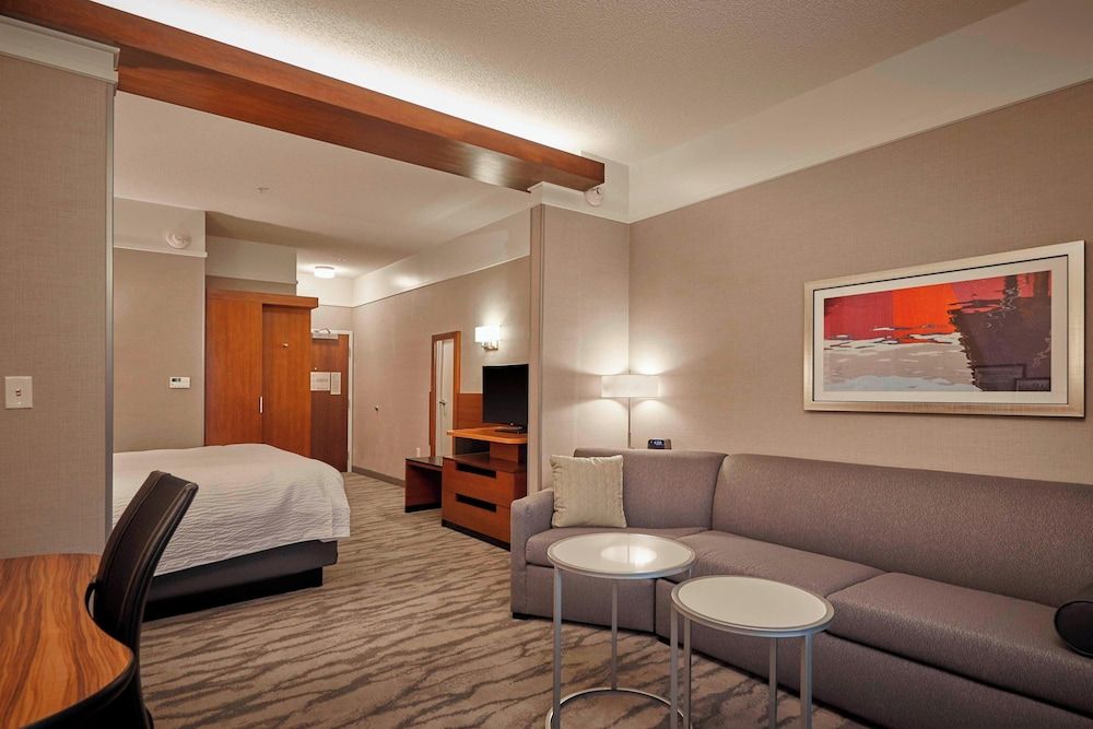 Executive Suite, 1 King Bed