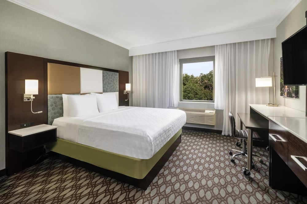 Suite, 1 King Bed, Non Smoking, Refrigerator & Microwave (with Sofabed)