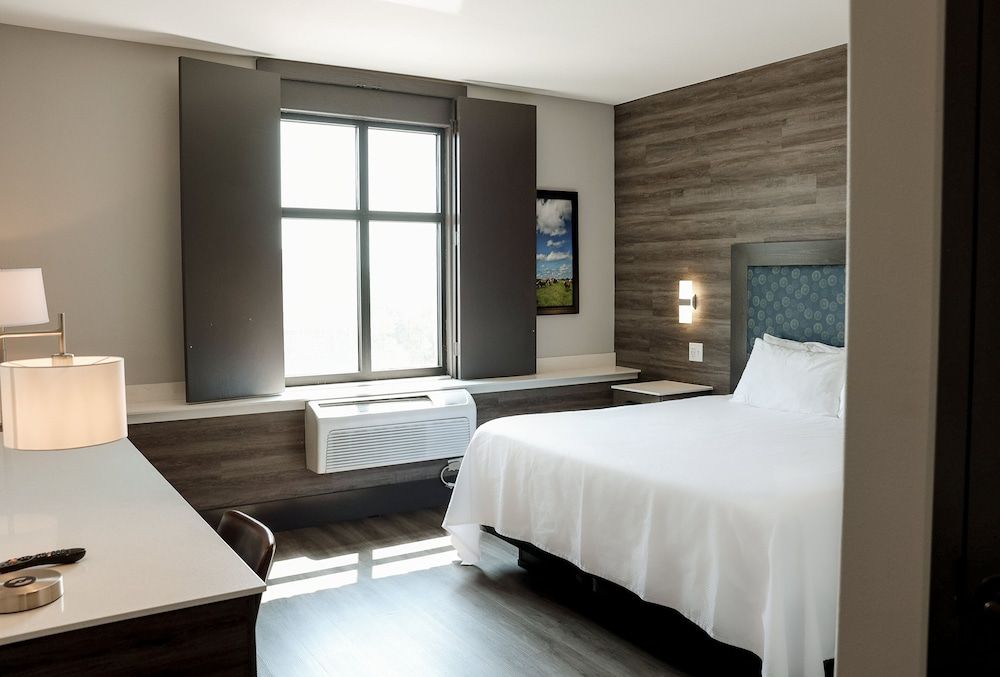 Room, 1 King Bed