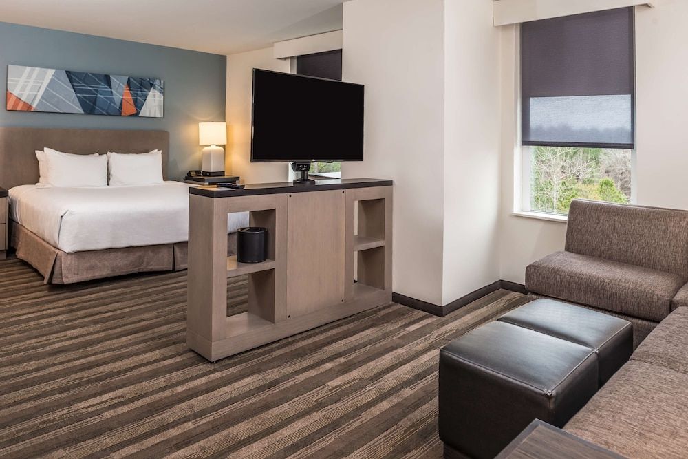 Studio, 1 King Bed, Mobility Accessible (With Shower)