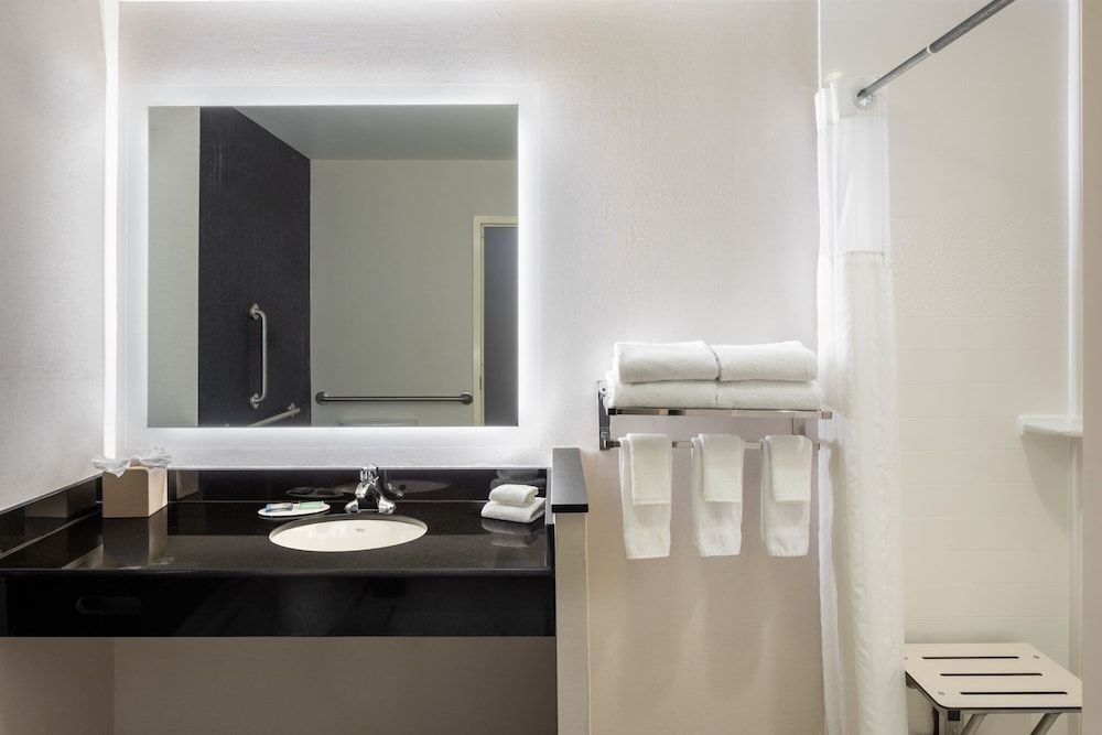 Suite, 1 King Bed with Sofa bed