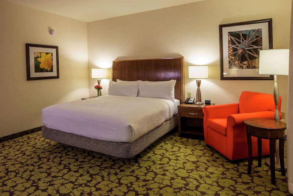 Room, 1 King Bed, Non Smoking