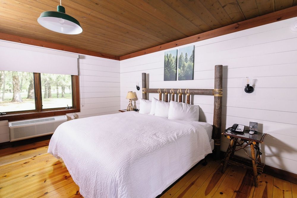 Drummond Island Resort Lodge Room, 1 King Bed, Forest View 3