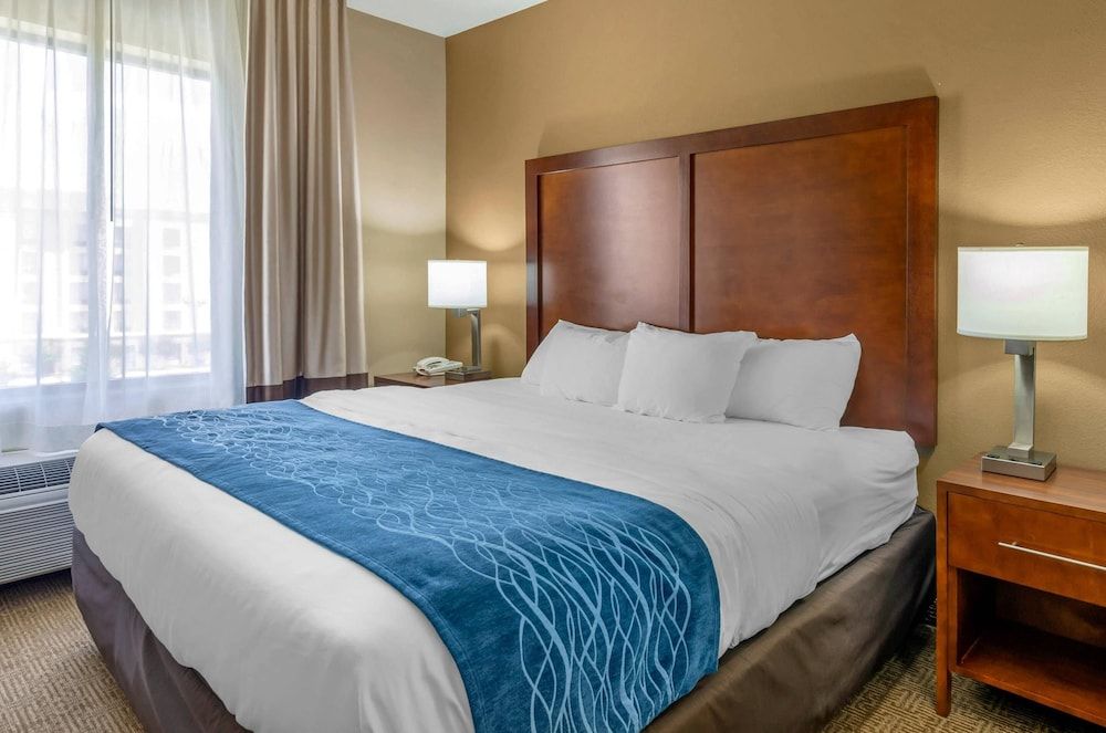 Deluxe Room, 1 King Bed, Non Smoking