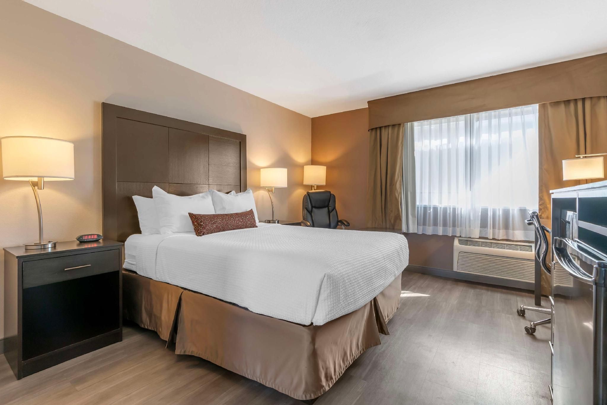 1 Queen Bed, Nonsmoking, Pet Friendly Room
