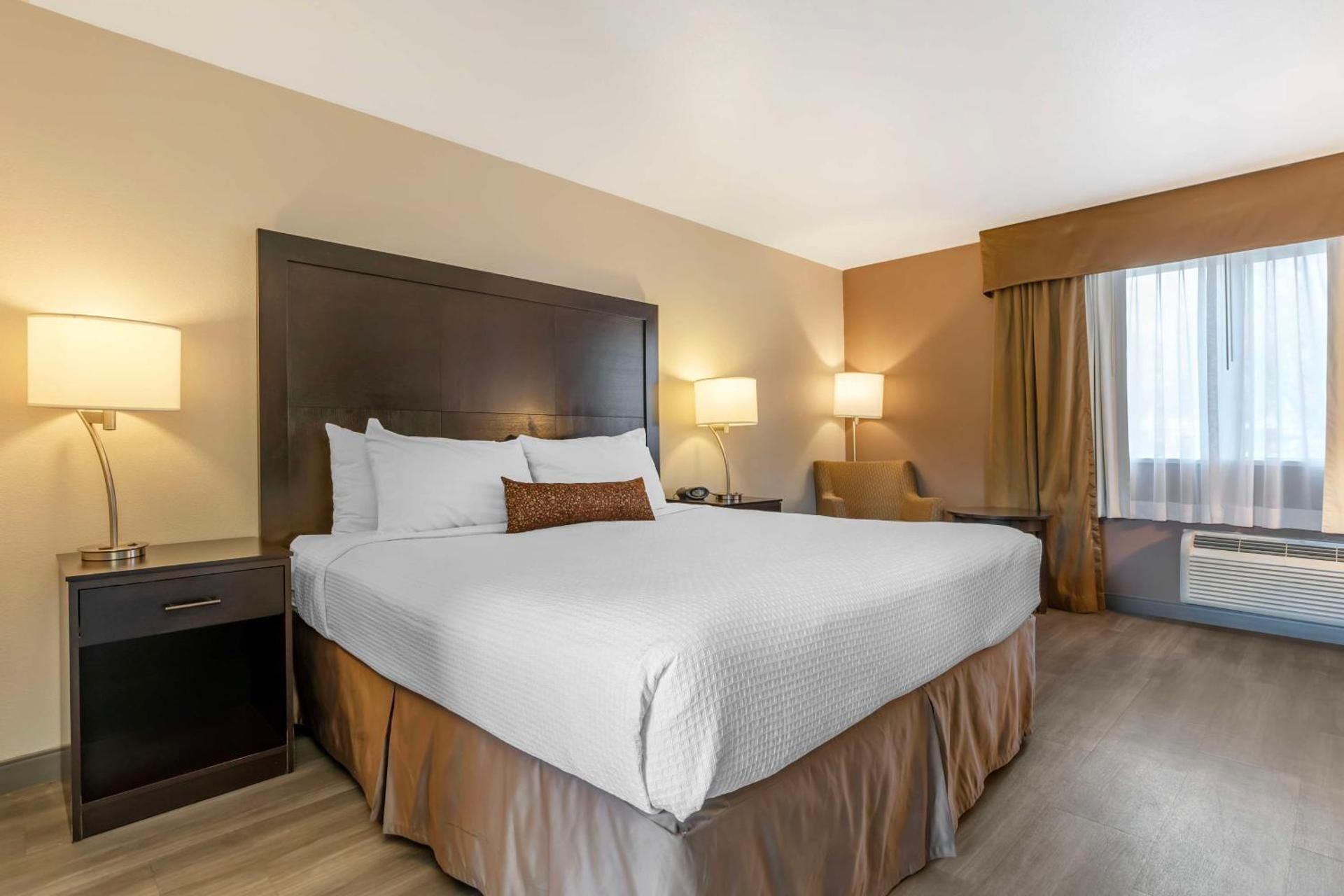 Suite - 1 King Bed, Nonsmoking, Sofabed