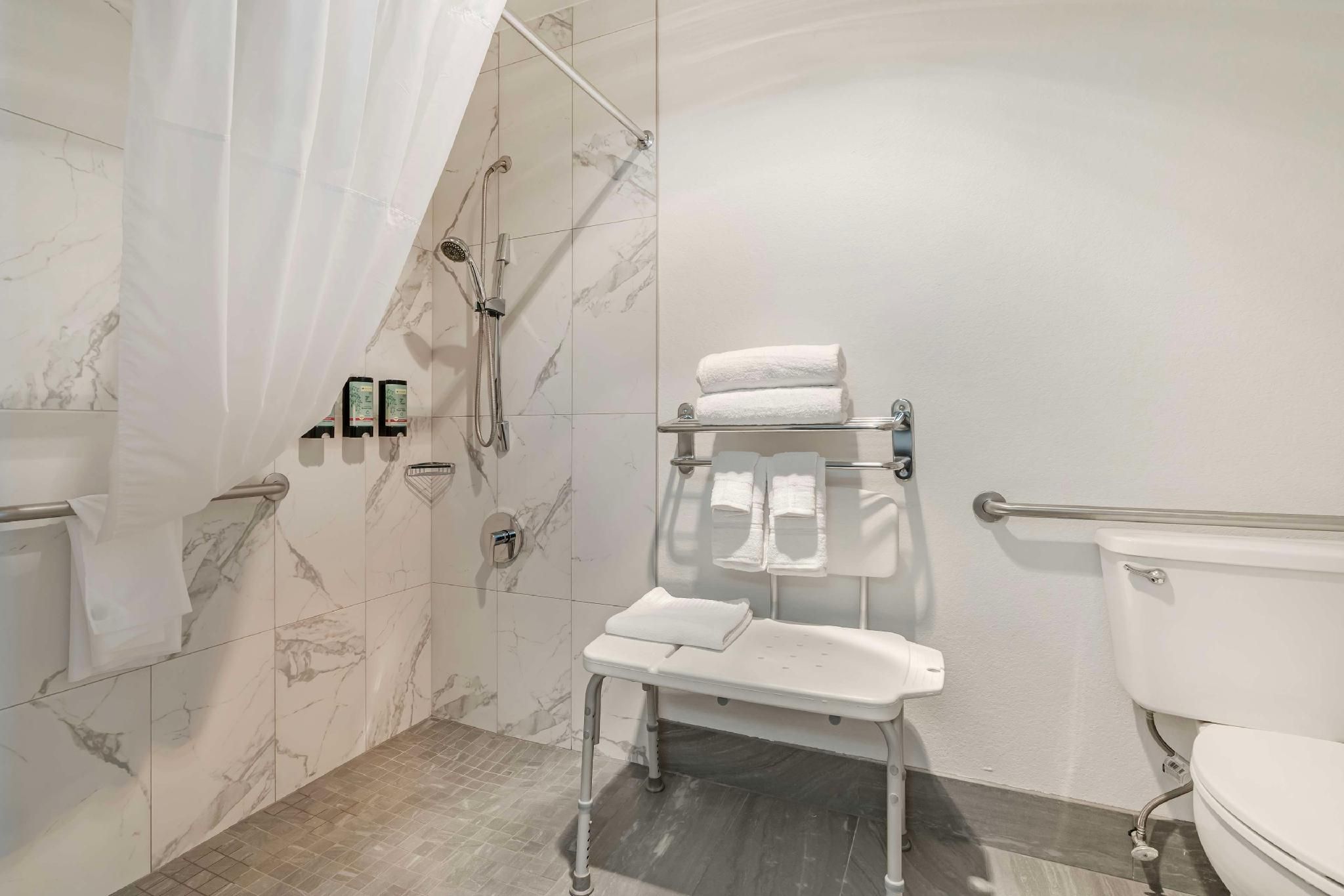 Accessibility - 1 Queen, Roll-in Shower, Nonsmoking