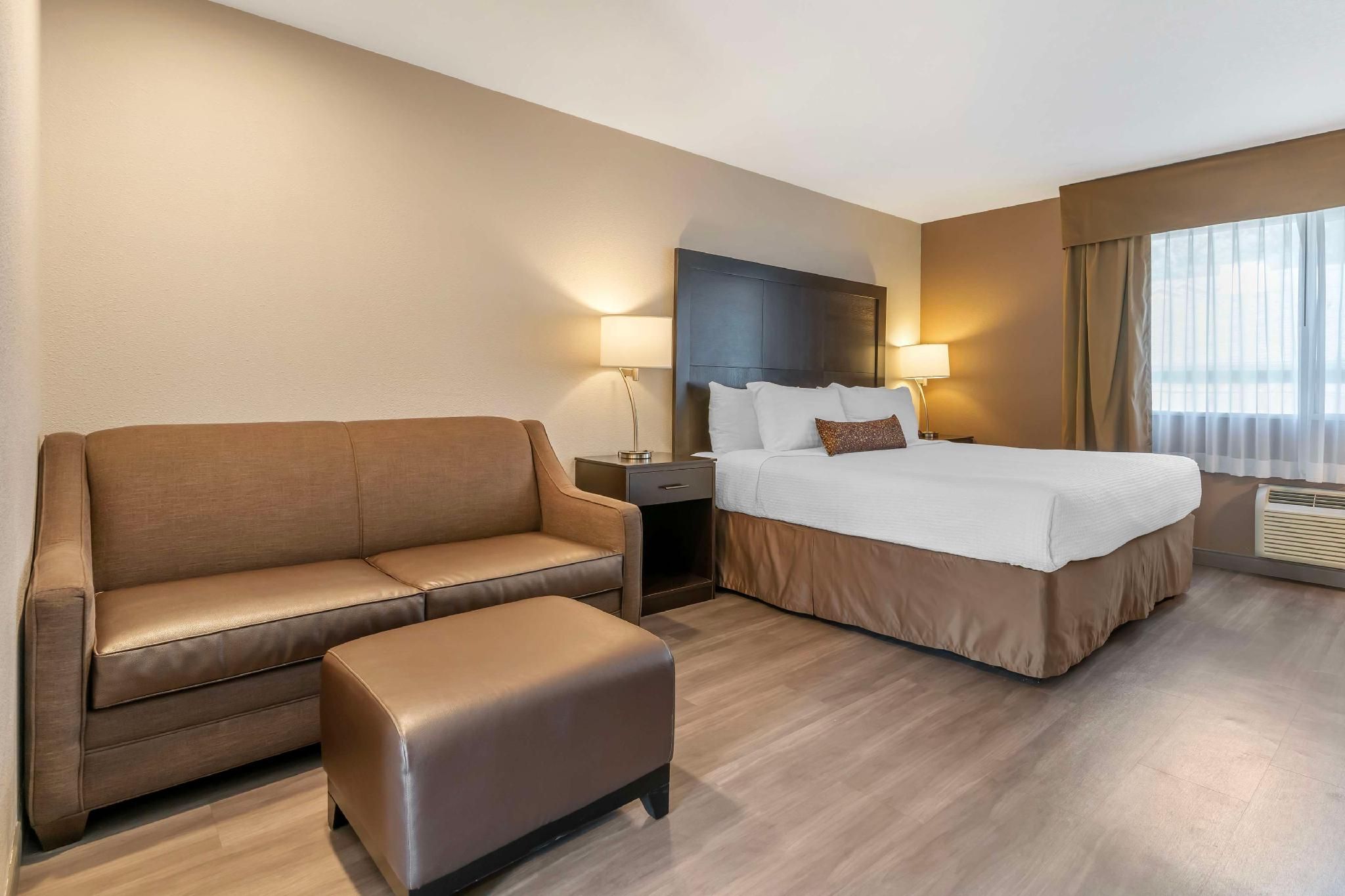 Suite - 1 King Bed, Nonsmoking, Sofabed