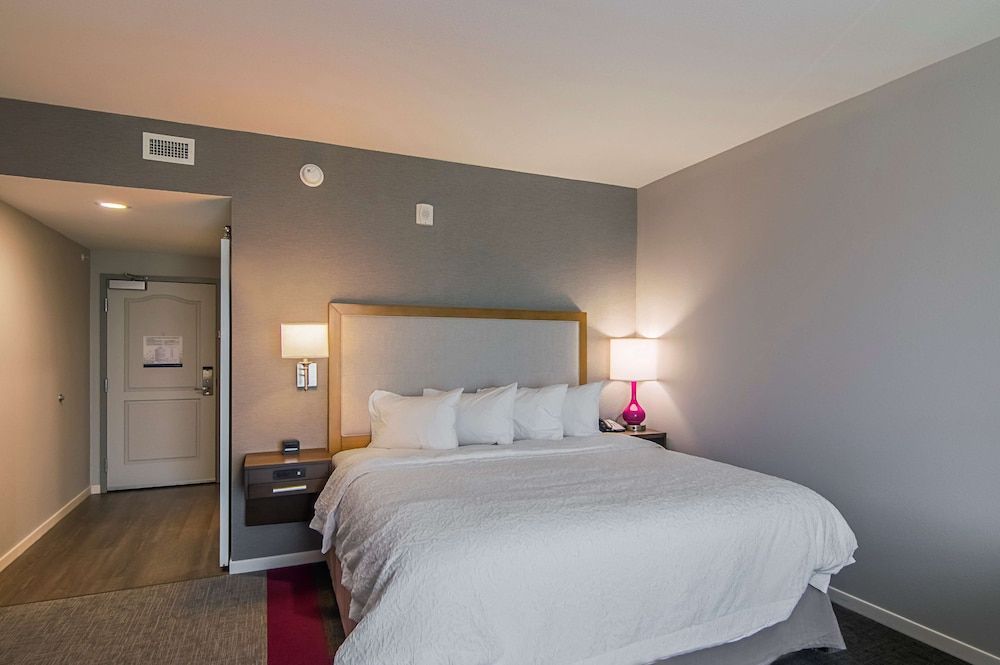 Room, 1 King Bed with Sofa bed, Non Smoking, Refrigerator & Microwave