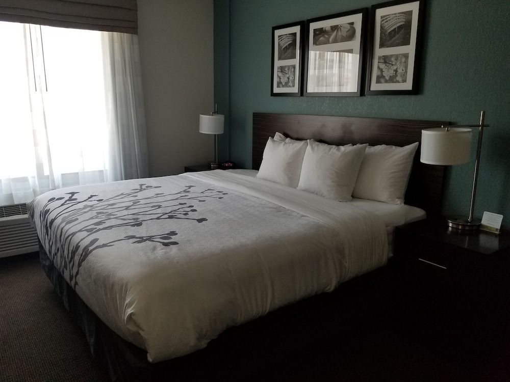 Suite, 1 King Bed with Sofa bed, Non Smoking