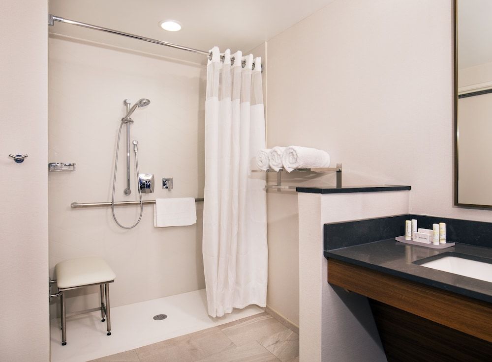 Suite, 1 King Bed with Sofa bed (Mobility Accessible, Roll-In Shower)