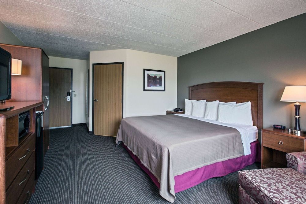 Room, 1 King Bed, Accessible, Non Smoking