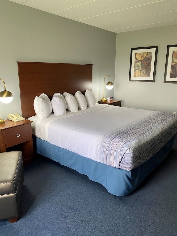 Room, 1 King Bed, Accessible