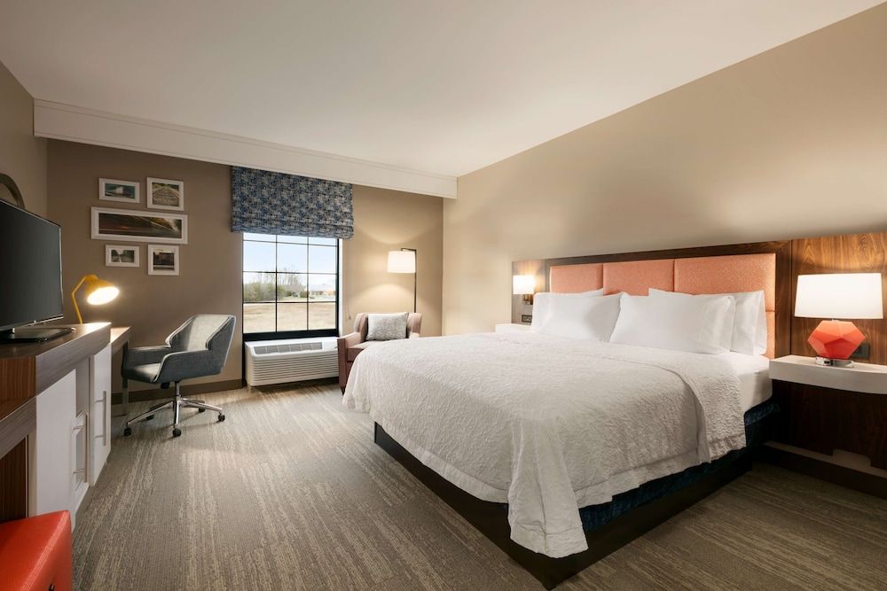 Room, 1 King Bed, Non Smoking, Refrigerator