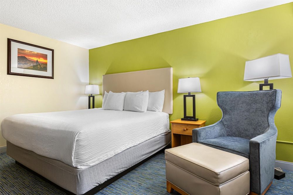 Standard Room, 1 King Bed, Non Smoking, Refrigerator & Microwave