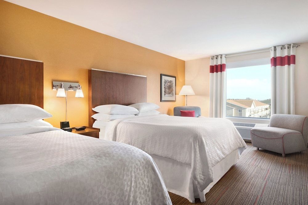 2 Queen, Traditional Room