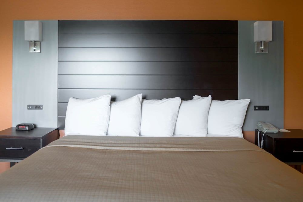 Standard Room, 1 King Bed, Refrigerator & Microwave