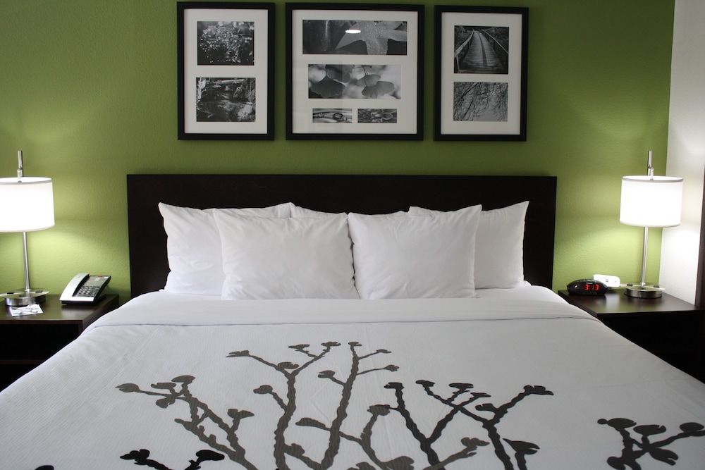 Room, 1 King Bed, Accessible, Non Smoking
