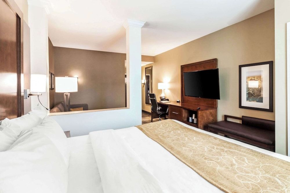 Suite, 1 King Bed with Sofa bed, Accessible, Non Smoking